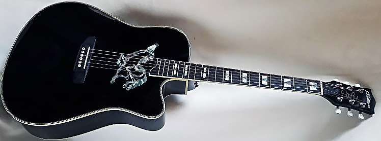 Dillion Eddie Bush Signature Guitar